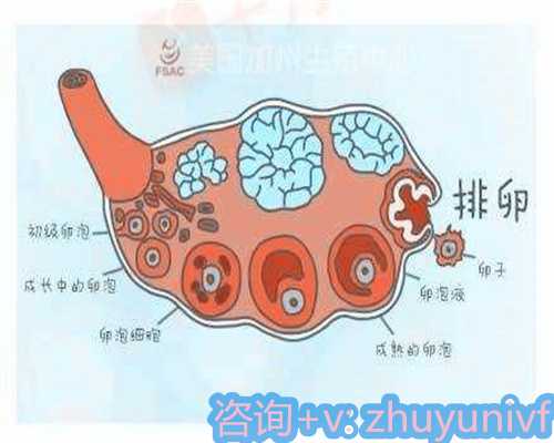 高龄冻胚移植前注意事项与禁忌详解，同房问题一目了然