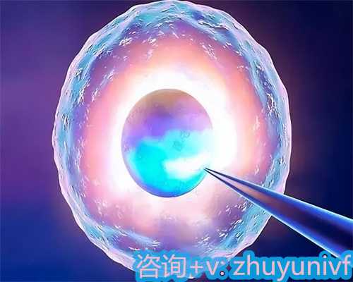 代妈费用后饮食科学安排与代生助孕营养指南